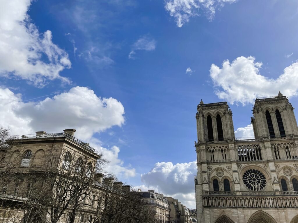 Notre Dame: aesthetic parts of paris