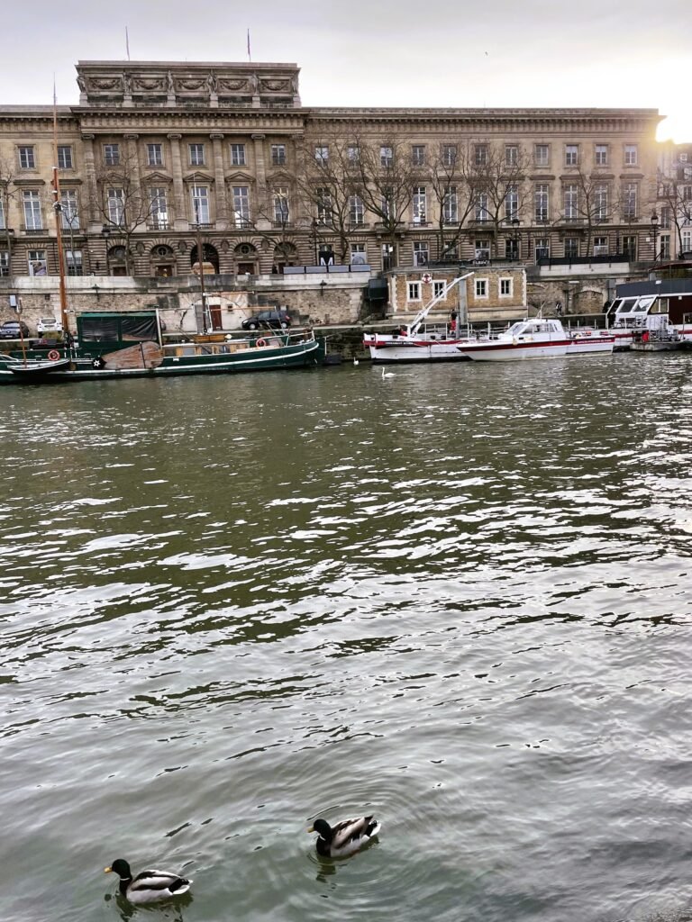 Square du Vert-Galant: aesthetic parts of paris