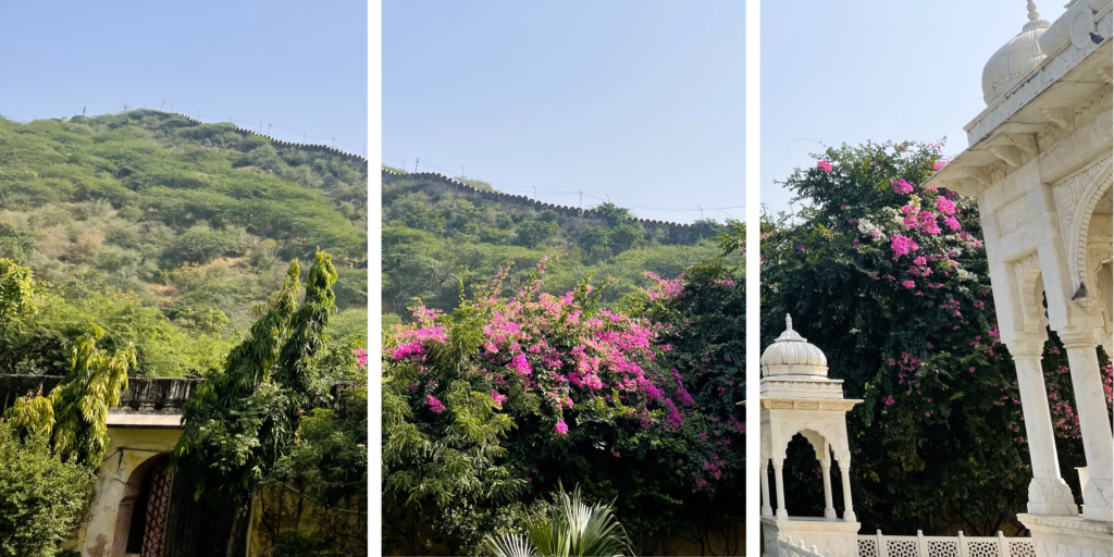 Serene view of Gaitor Ki Chhatriyan in Jaipur, India, featuring intricate marble cenotaphs surrounded by peaceful gardens.